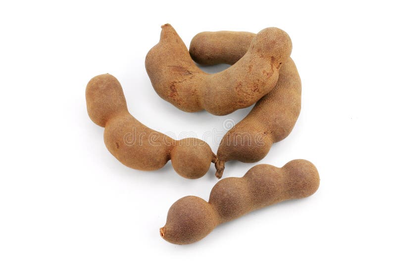 tamarindfrukt royaltyfria bilder