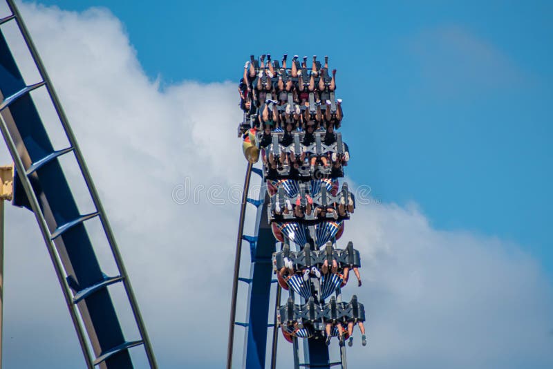 Top View Of People Enjoying Montu Rollercoaster At Busch Gardens