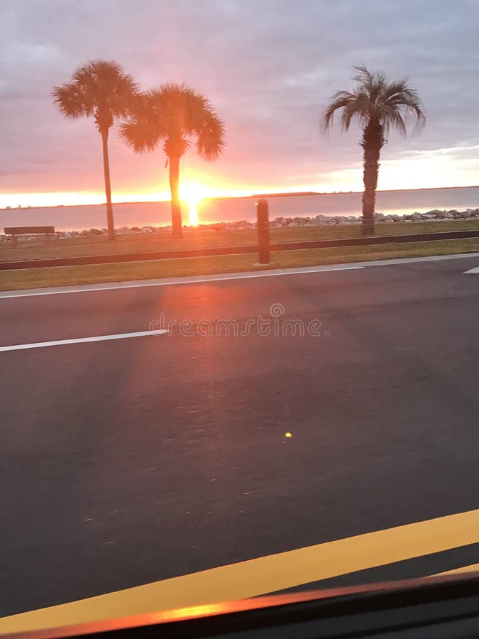 Tampa sunrise stock image. Image of bayshore, macdill 94869975