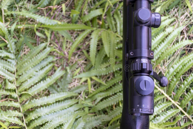 Top view close up rifle on grass floor with copy space. Top view close up rifle on grass floor with copy space.