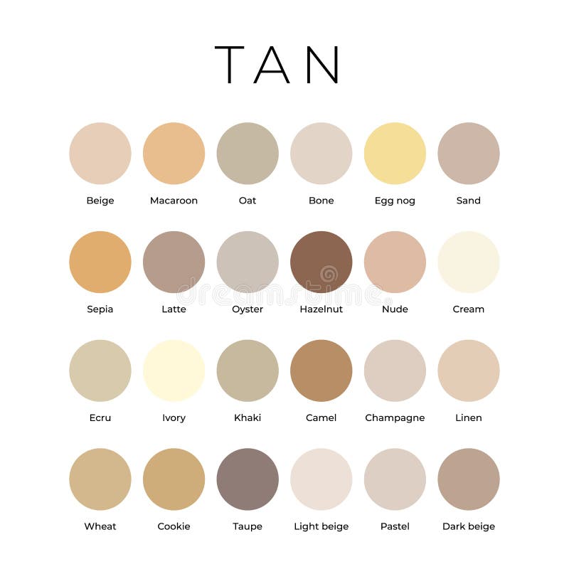 Tan Beige Color Shades Swatches Palette with Names Stock Vector