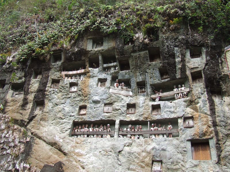  Tana Toraja Lemo  Plats I Sulawesi Arkivfoto Bild av 