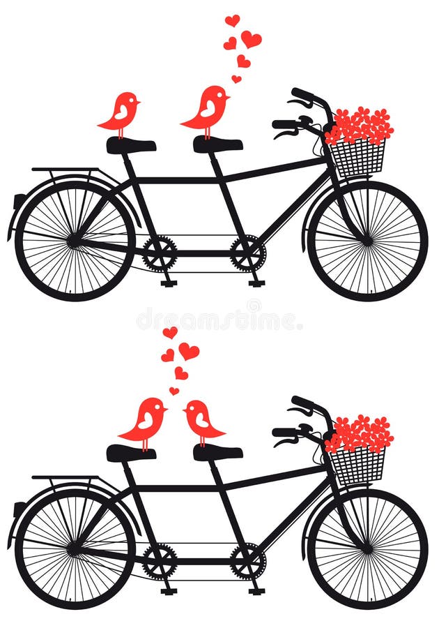 Tandemfahrrad mit Liebesvögeln, Vektor vektor abbildung Tandemfahrrad mit Liebesvögeln, Vektor vektor abbildung