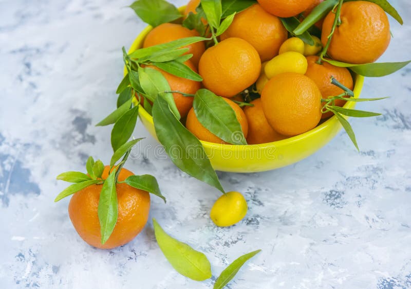 Tangerin med gröna sidor på en ljus bakgrund Ljus aptitretande citrus royaltyfri fotografi Tangerin med gröna sidor på en ljus bakgrund Ljus aptitretande citrus royaltyfri fotografi