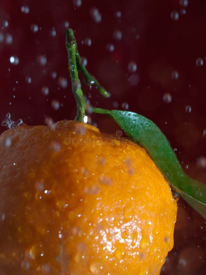 Tangerine stock image. Image of tangerine, cooking, water 12737759