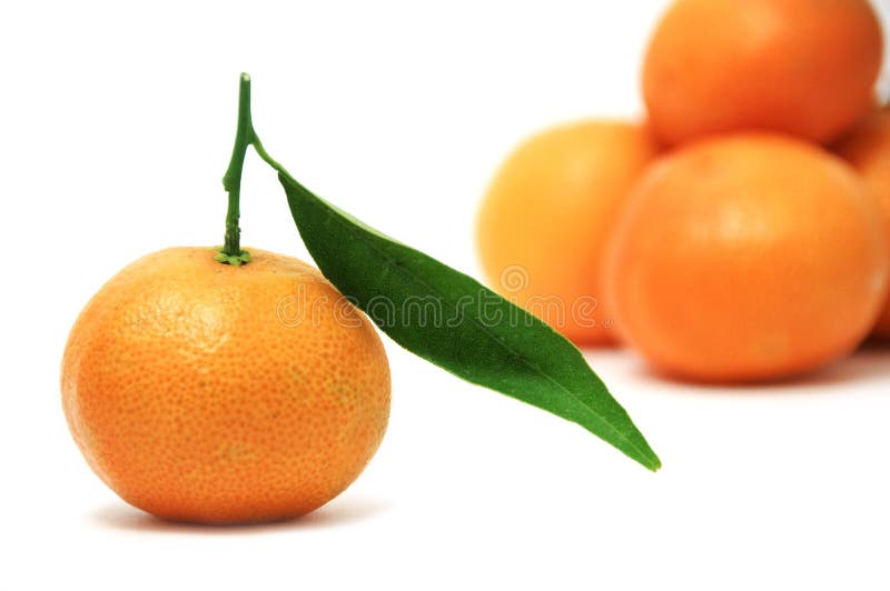Tangerine fotografia de stock Tangerine fotografia de stock