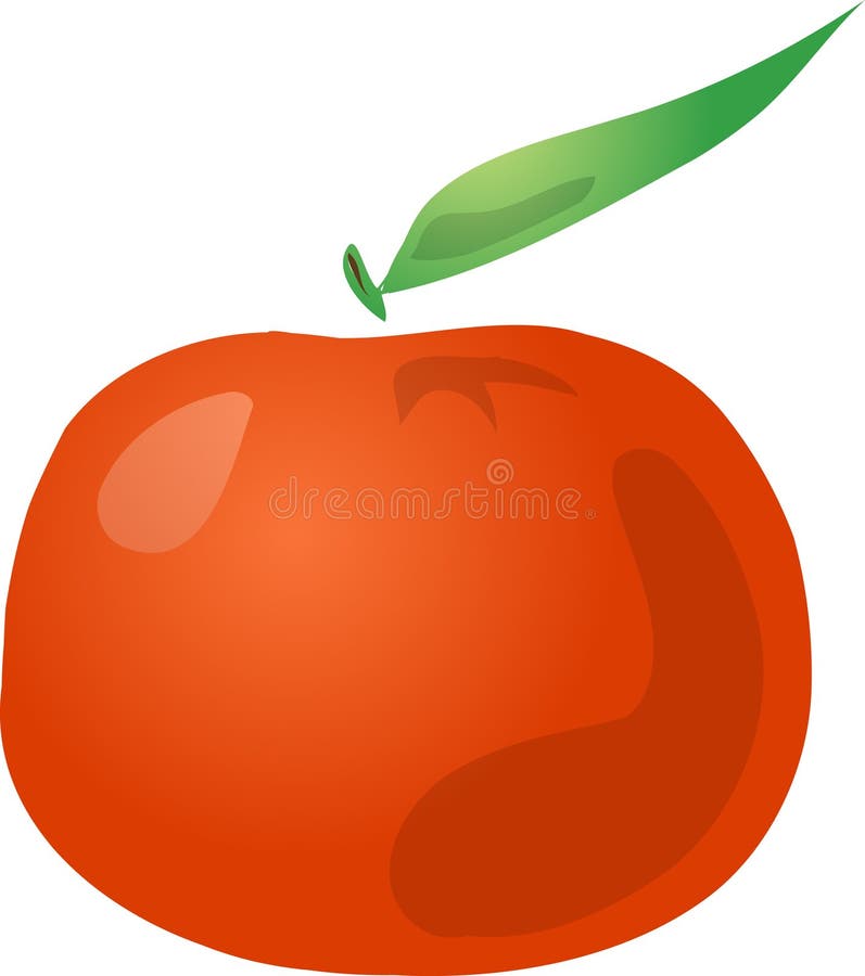 Tangerine απεικόνιση αποθεμάτων