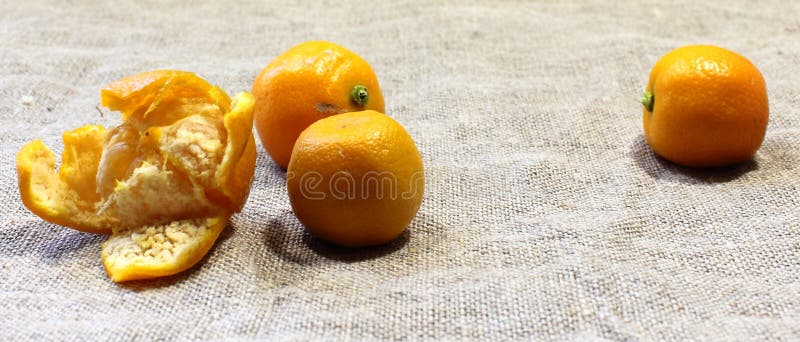 Tangerine arkivfoto Tangerine arkivfoto