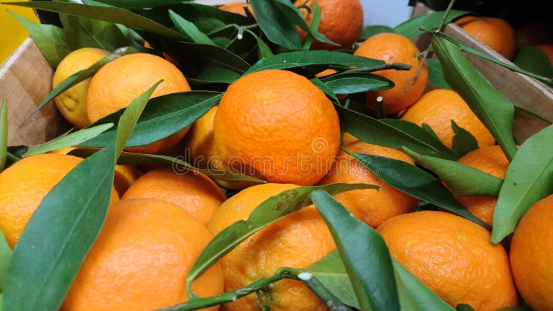 beatunes vs tangerine beatunes vs tangerine