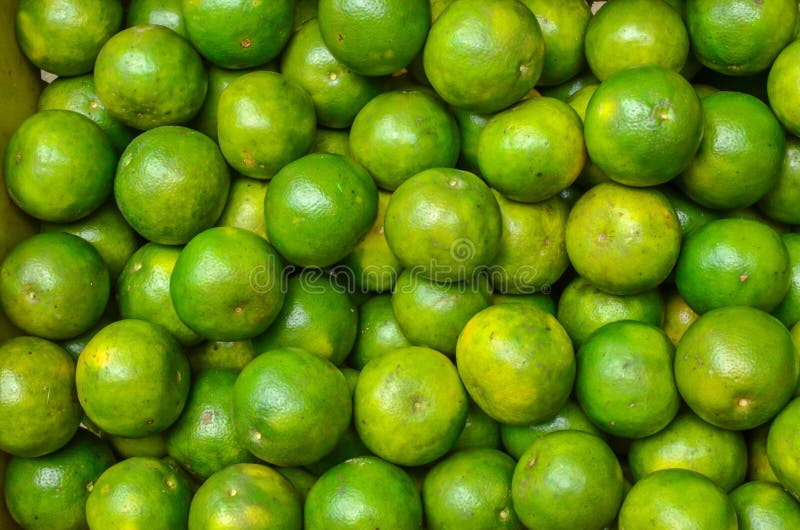 Tangerine fresh stock photo. Image of tangerine, sweed 33349650