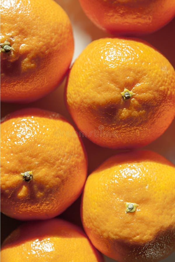 mandarin clementine tangerine mandarin clementine tangerine