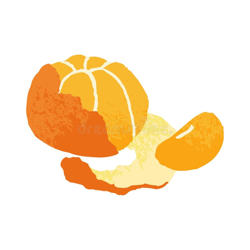 Tangerine, mandarin. Fresh orange clementine fruit with wedge piece, peel. Tropical citrus with segment, slice. Natural