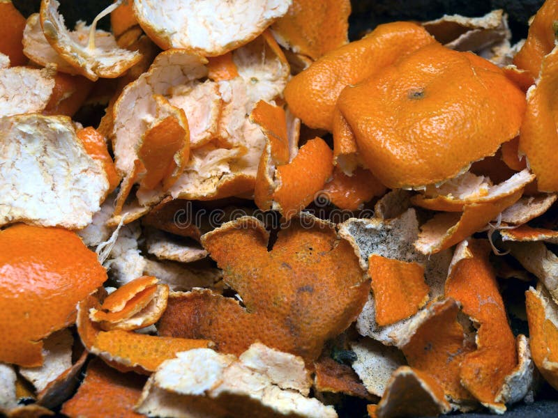Tangerine peel stock photo. Image of small, dried, tangerine 150830358