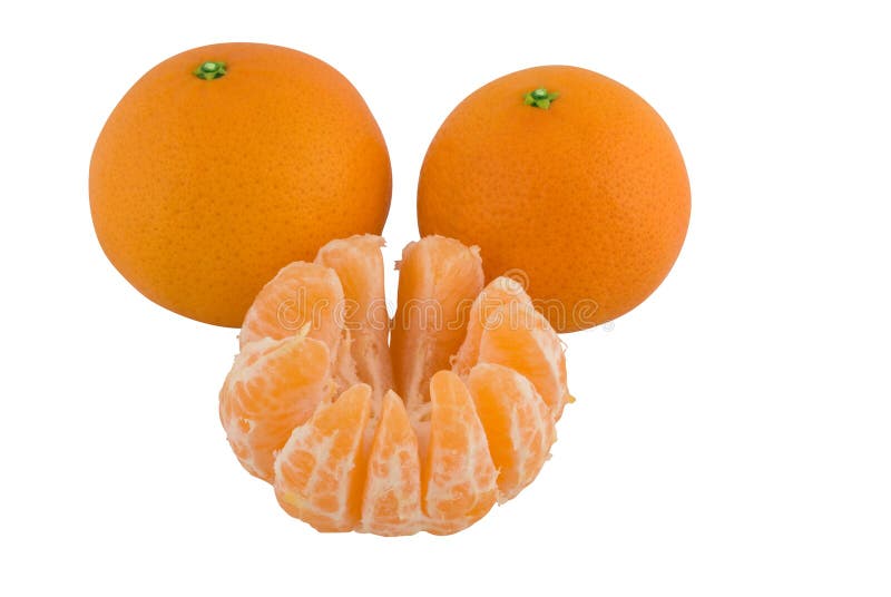 orange tangerine clementine mandarin satsuma orange tangerine clementine mandarin satsuma