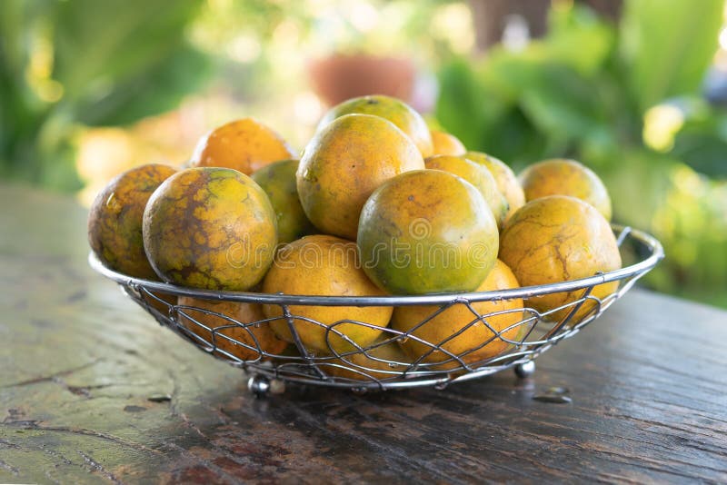 Tangerine w srebnym metalu koszu na stary drewnianym fotografia stock Tangerine w srebnym metalu koszu na stary drewnianym fotografia stock