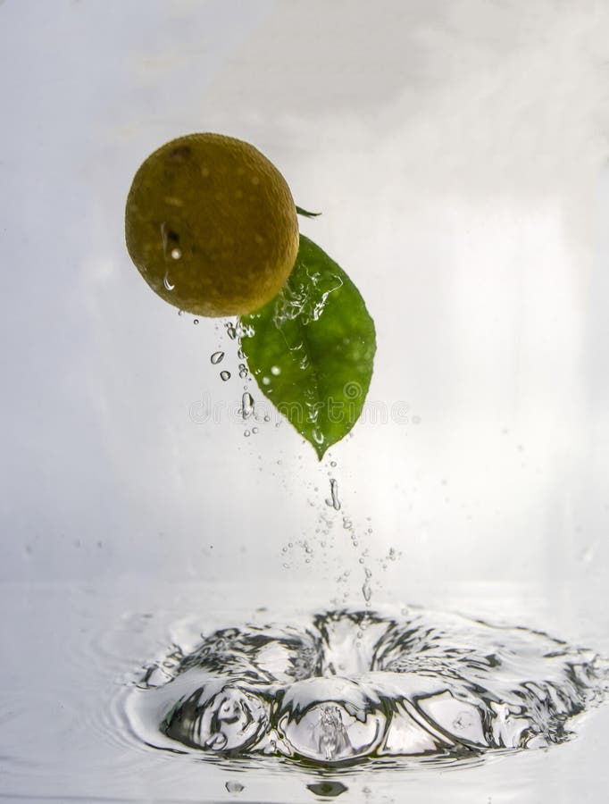 Tangerine water splash stock photo. Image of motion 105352844