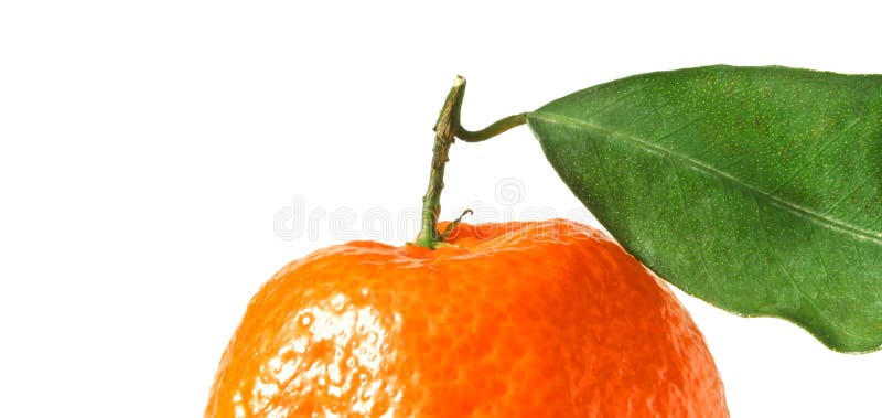 Tangerine z liściem fotografia stock Tangerine z liściem fotografia stock