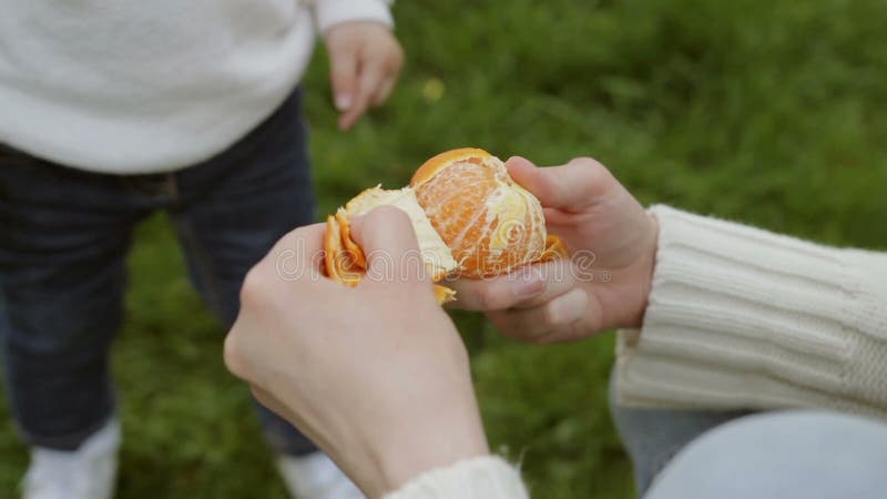 Tangerine αποφλοίωσης για ένα παιδί