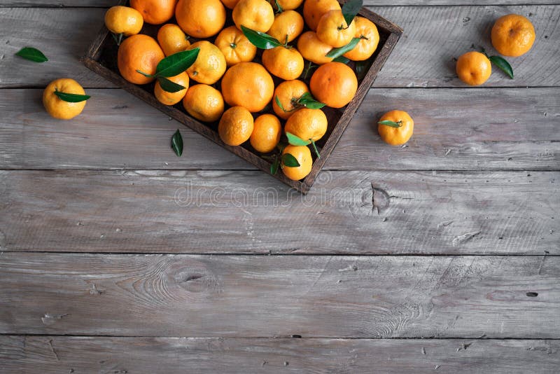algerian tangerine clementine algerian tangerine clementine