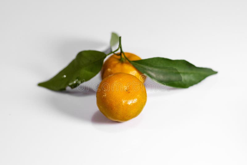 Tangerines or oranges. stock image. Image of cross, cutting 178156091