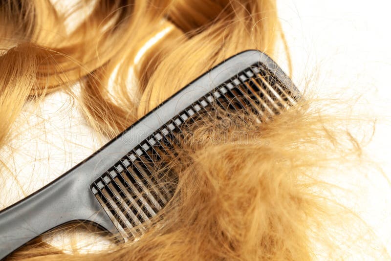 Tangled Long Hair and Black Comb. a Knot on the Curl Stock Photo
