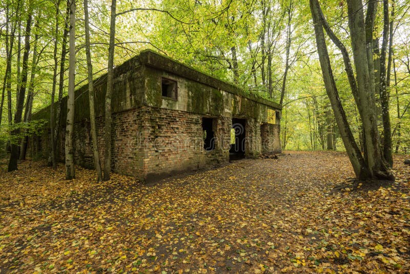 Tanière du ` s de loup, soute du ` s d'Adolf Hitler, Pologne Premiers sièges sociaux militaires avant orientaux, la deuxième guer photographie stock libre de droits Tanière du ` s de loup, soute du ` s d'Adolf Hitler, Pologne Premiers sièges sociaux militaires avant orientaux, la deuxième guer photographie stock libre de droits