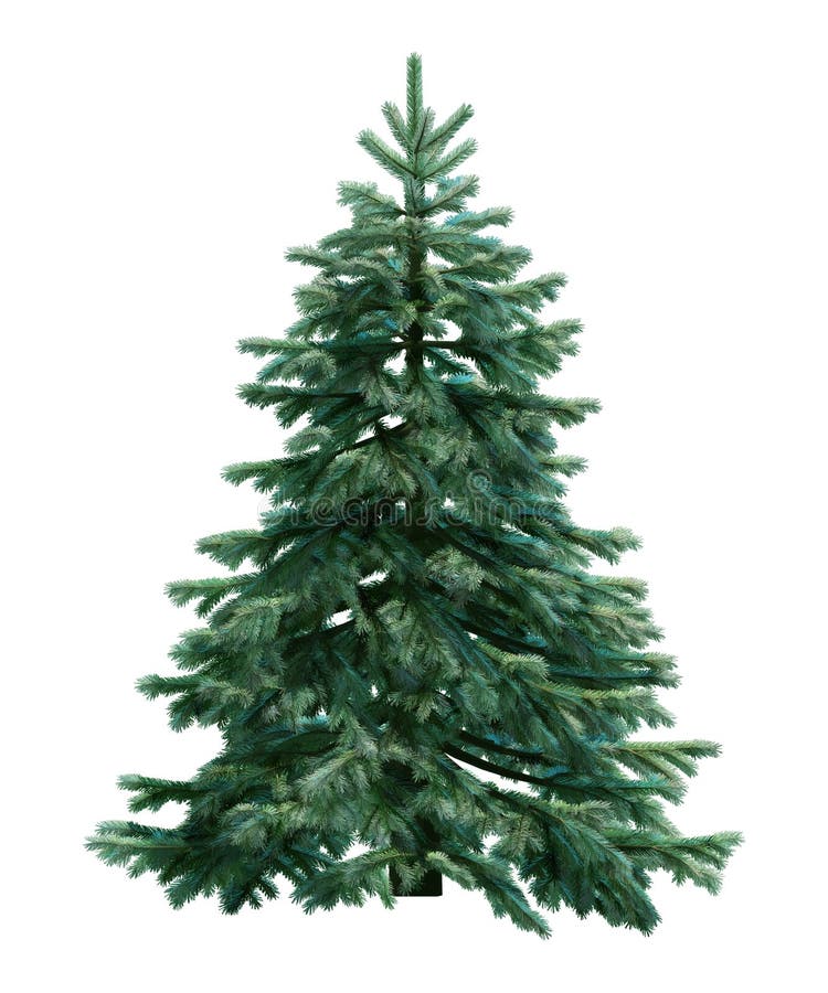 Tannenbaum getrennt auf Weiß stock abbildung Tannenbaum getrennt auf Weiß stock abbildung