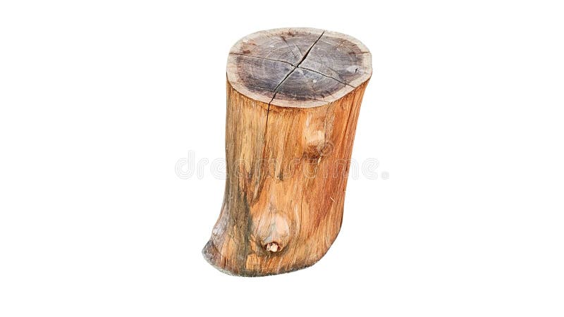 Dry wood log slice on plain white background, isolated, natural tree trunk cross-section texture. stock illustration