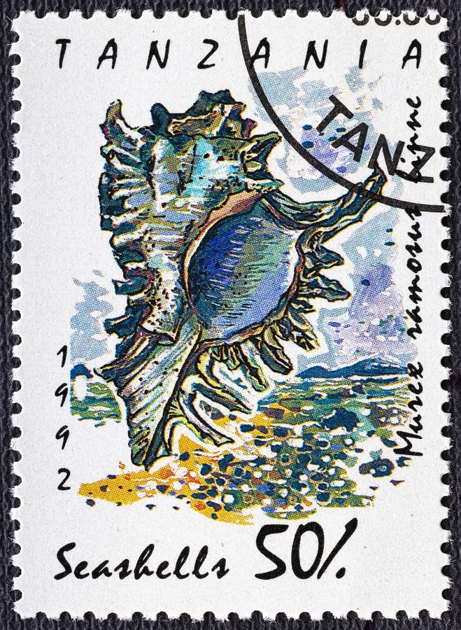 TANZANIA - CIRCA 1992: A stamp printed in Tanzania shows Ramose Murex Murex ramosus , Sea snails and mussels serie.