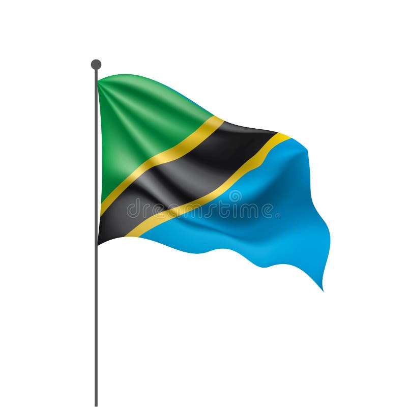 Tanzania Flag, Vector Illustration On A White Background Stock Vector ...
