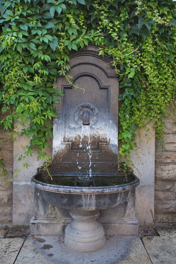 Budapest Tap Drink Stock Photos Free & RoyaltyFree Stock Photos from