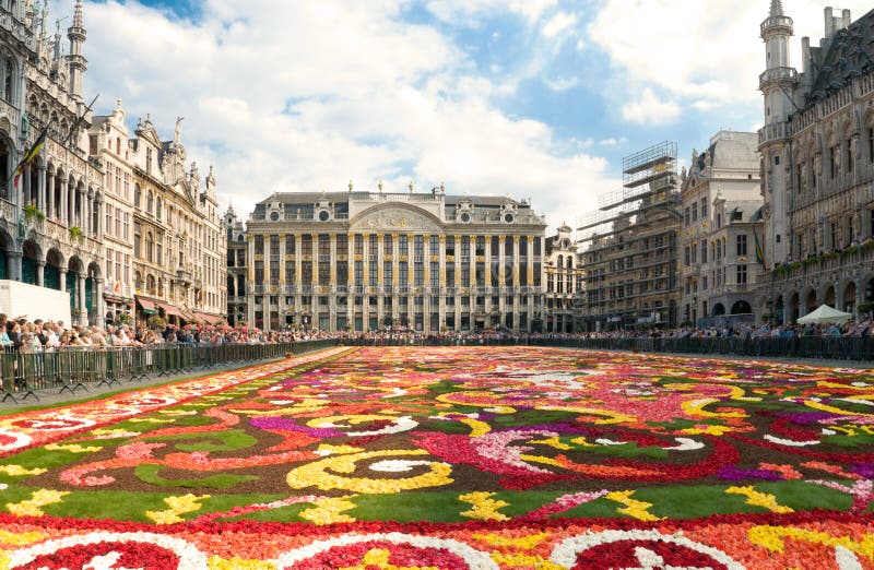 Tapete de flores deslumbrante de Bruxelas fotografia de stock