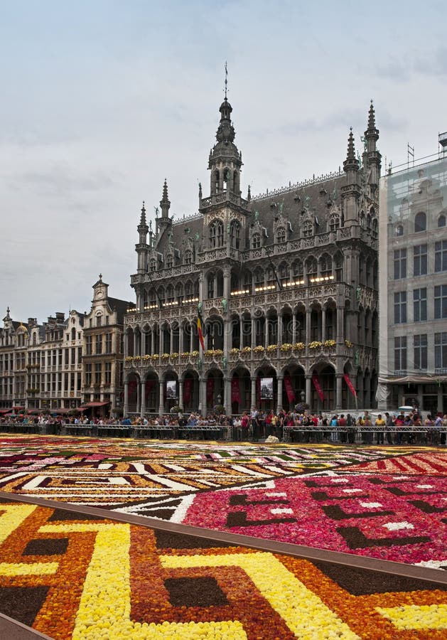 Tapete da flor de Bruxelas imagens de stock