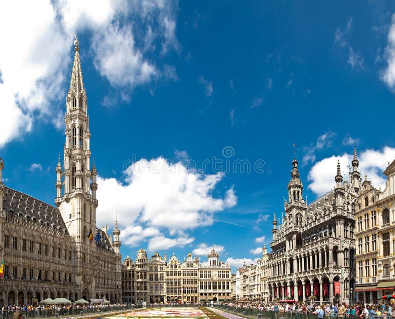 Tapete 2016 da flor de Bruxelas imagens de stock royalty free