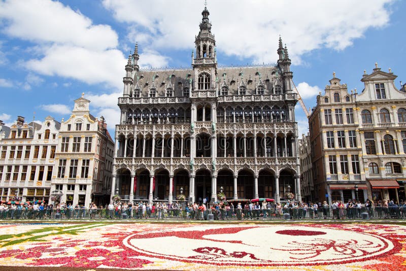 Tapete 2016 da flor de Bruxelas imagem de stock royalty free