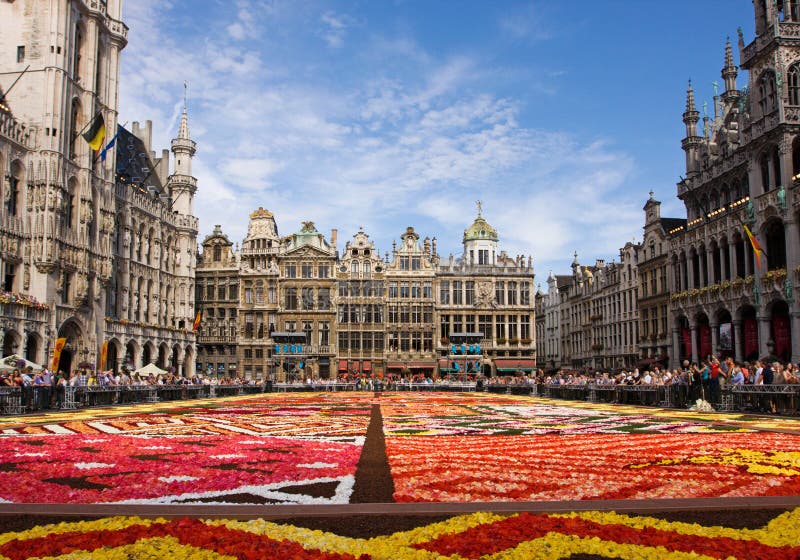 Tapete de flores em Bruxelas imagens de stock royalty free