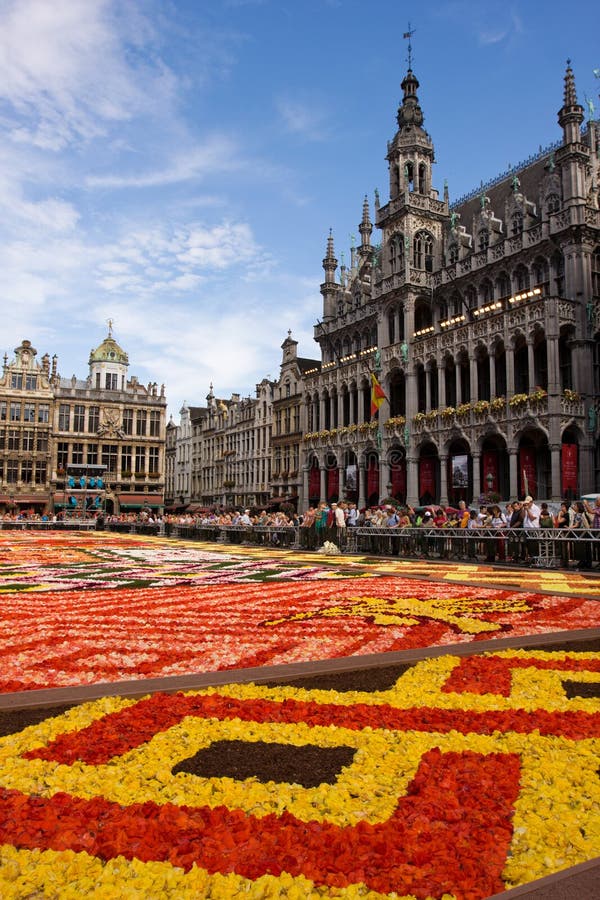 Tapete de flores em Bruxelas imagem de stock royalty free
