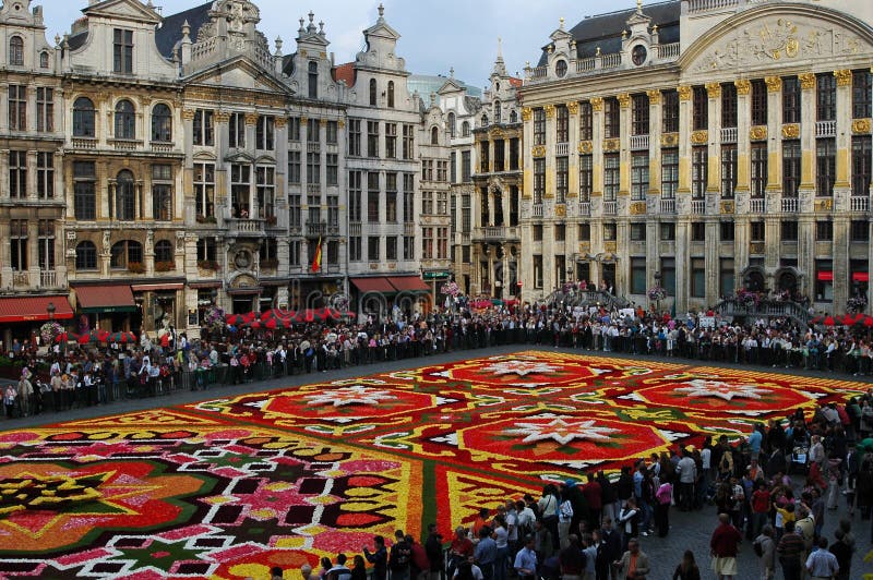 Tapete da flor em Bruxelas imagem de stock