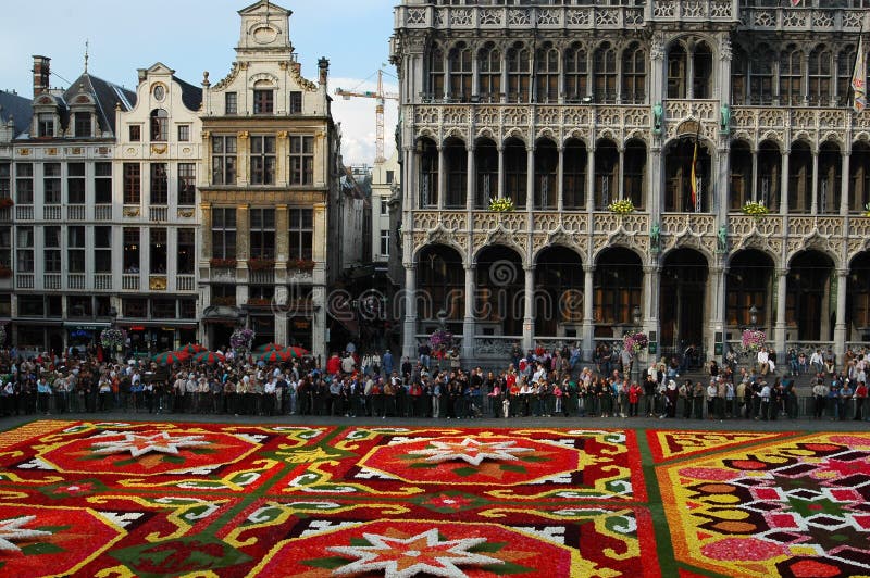 Tapete da flor em Bruxelas imagem de stock royalty free