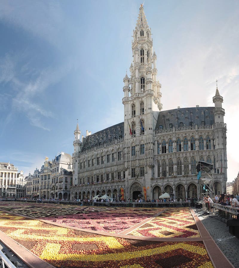 Tapete da flor em Bruxelas, Bélgica imagem de stock
