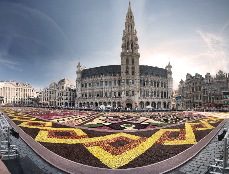 Tapete de flores em Bruxelas, Bélgica foto de stock royalty free