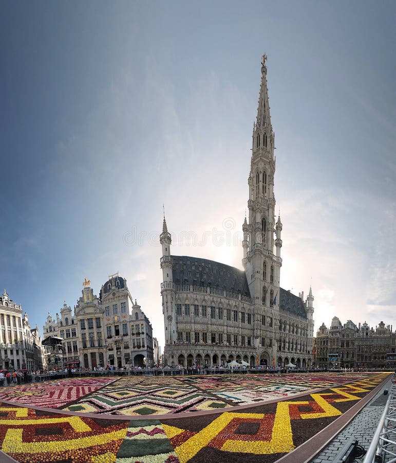 Tapete da flor em Bruxelas, Bélgica fotografia de stock royalty free
