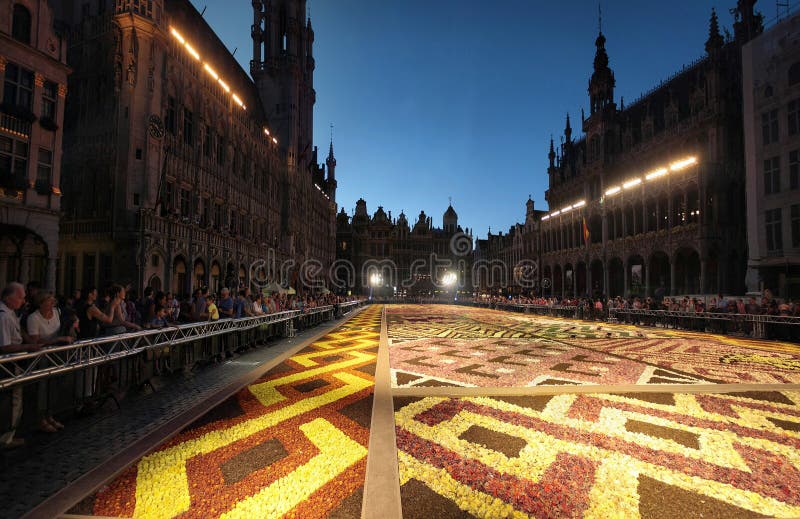 Tapete da flor em Bruxelas, Bélgica fotos de stock royalty free