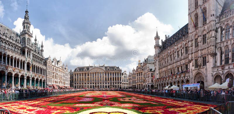 Tapete de flores em Bruxelas, Bélgica fotografia de stock royalty free
