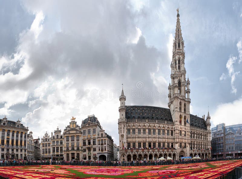 Tapete da flor em Bruxelas, Bélgica fotos de stock royalty free