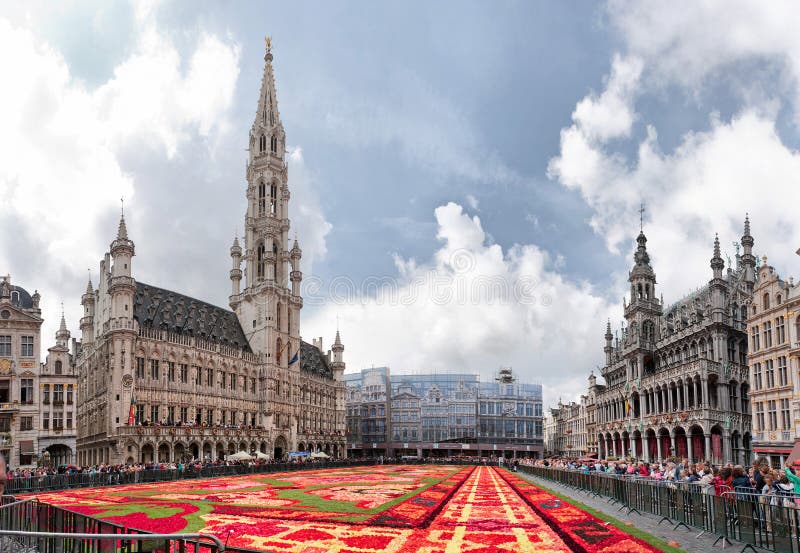 Tapete de flores em Bruxelas, Bélgica imagem de stock
