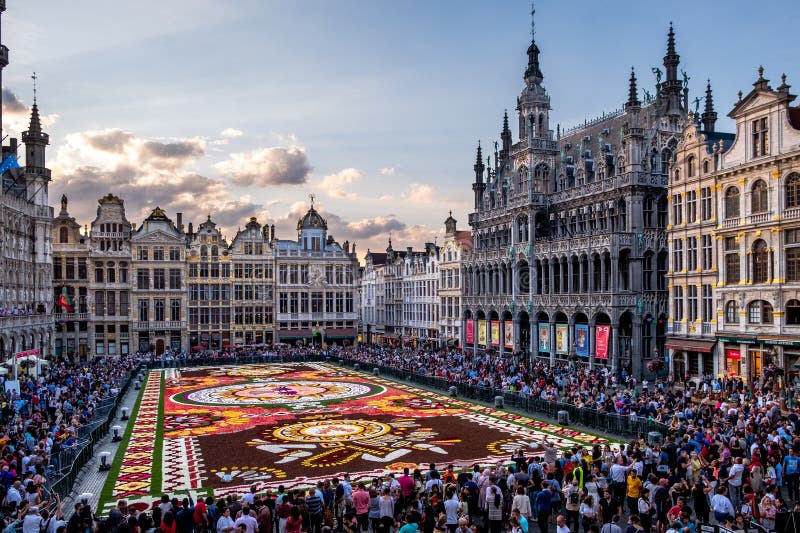 Tapete floral anual em bruxelas-bélgica  imagem de stock royalty free