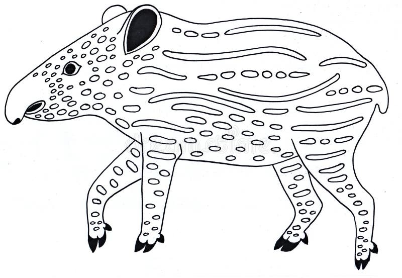 Tapir black and white, stock photo. Illustration of animal - 105939978