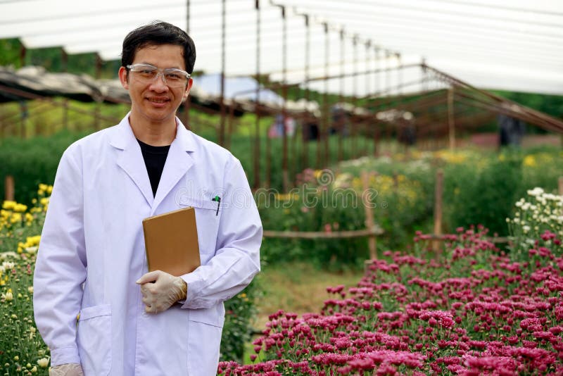 Taplet de participation de scientifique d'Enior et sourire pendant la vérification du chrysanthème image libre de droits Taplet de participation de scientifique d'Enior et sourire pendant la vérification du chrysanthème image libre de droits
