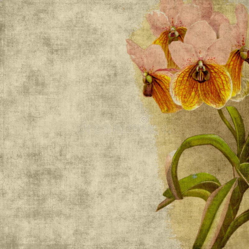 tappning för bakgrundsblommascrapbook vektor illustrationer tappning för bakgrundsblommascrapbook vektor illustrationer